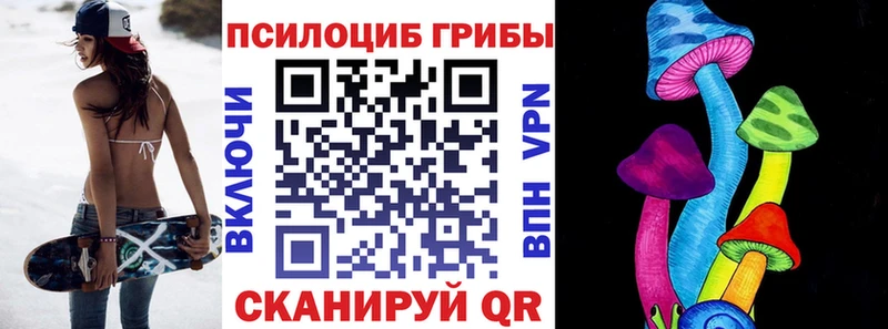 Псилоцибиновые грибы Psilocybe Саров