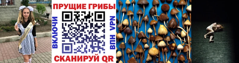 Псилоцибиновые грибы GOLDEN TEACHER Саров